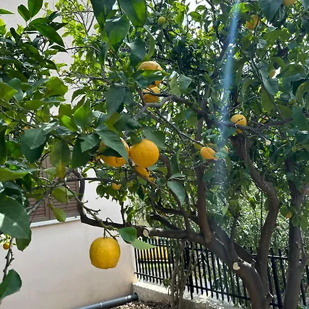 Tasos